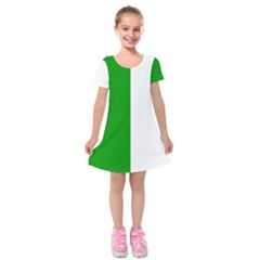 Fermanagh Flag Kids  Short Sleeve Velvet Dress by tony4urban