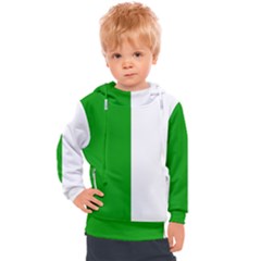 Fermanagh Flag Kids  Hooded Pullover by tony4urban