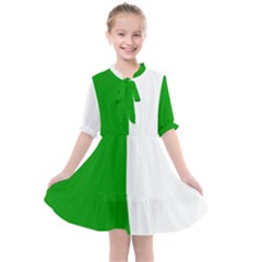 Fermanagh Flag Kids  All Frills Chiffon Dress by tony4urban