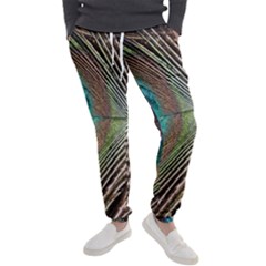 Peacock Men s Jogger Sweatpants by StarvingArtisan