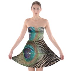 Peacock Strapless Bra Top Dress by StarvingArtisan