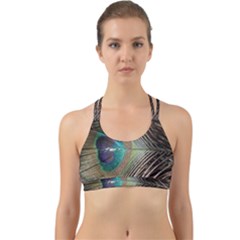 Peacock Back Web Sports Bra