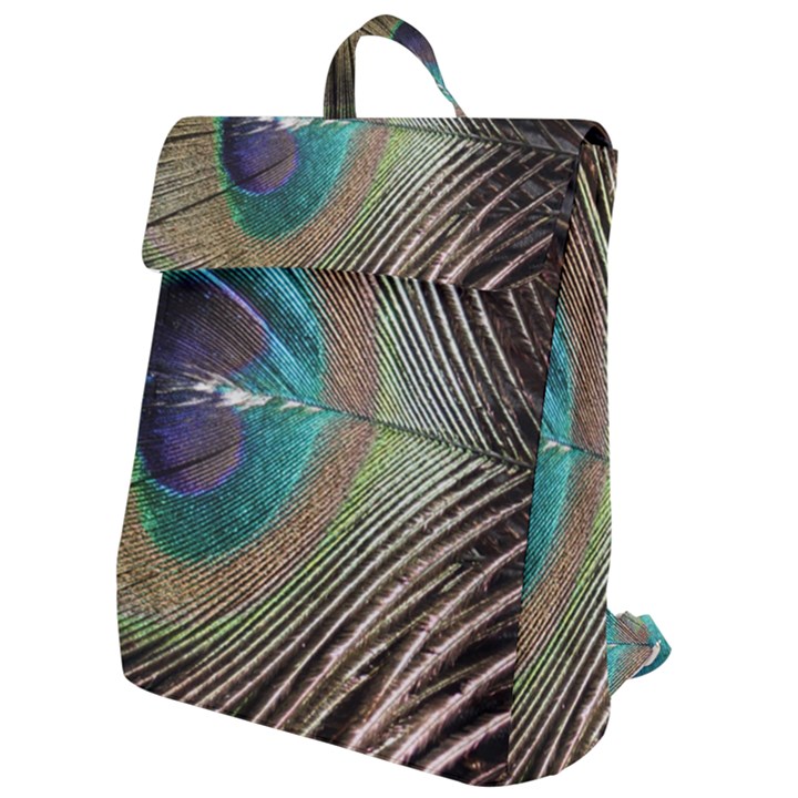 Peacock Flap Top Backpack