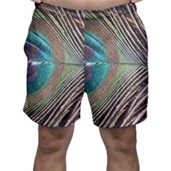 Peacock Men s Shorts by StarvingArtisan