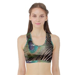 Peacock Sports Bra With Border by StarvingArtisan