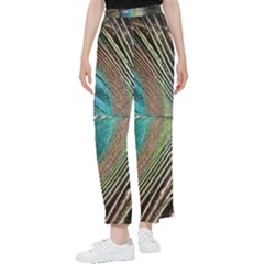 Peacock Women s Pants  by StarvingArtisan