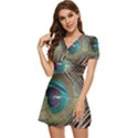 Peacock V-Neck High Waist Chiffon Mini Dress View2