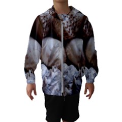 Beautiful Seashells  Kids  Hooded Windbreaker by StarvingArtisan