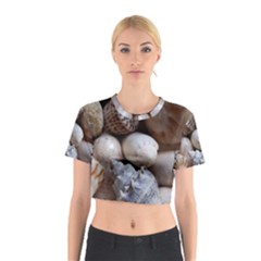 Beautiful Seashells  Cotton Crop Top by StarvingArtisan