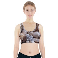 Beautiful Seashells  Sports Bra With Pocket by StarvingArtisan