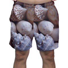 Beautiful Seashells  Men s Shorts by StarvingArtisan