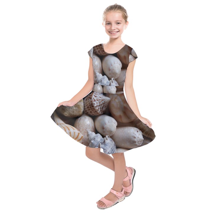 Beautiful Seashells  Kids  Short Sleeve Dress