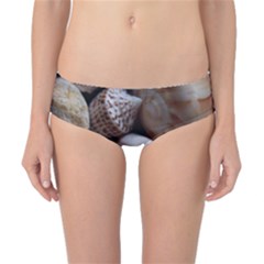 Beautiful Seashells  Classic Bikini Bottoms by StarvingArtisan