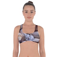 Beautiful Seashells  Got No Strings Sports Bra by StarvingArtisan