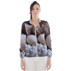 Beautiful Seashells  Women s Windbreaker