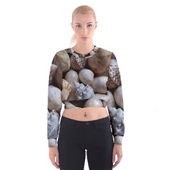 Beautiful Seashells  Cropped Sweatshirt by StarvingArtisan