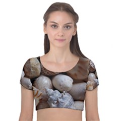 Beautiful Seashells  Velvet Short Sleeve Crop Top  by StarvingArtisan