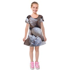 Beautiful Seashells  Kids  Short Sleeve Velvet Dress