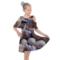 Beautiful Seashells  Kids  Shoulder Cutout Chiffon Dress by StarvingArtisan