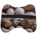 Beautiful Seashells  Head Support Cushion View2