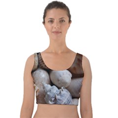 Beautiful Seashells  Velvet Crop Top by StarvingArtisan