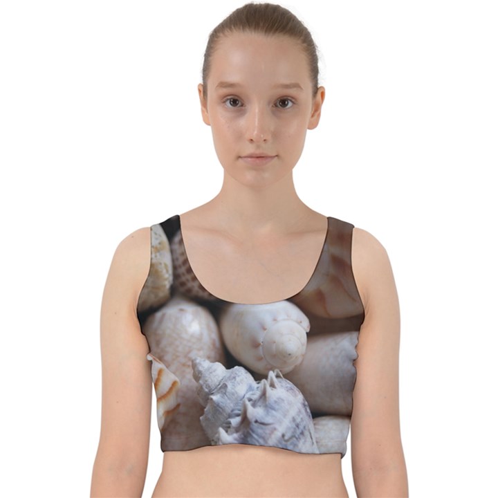 Beautiful Seashells  Velvet Racer Back Crop Top