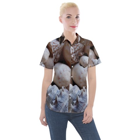 Beautiful Seashells  Women s Short Sleeve Pocket Shirt by StarvingArtisan