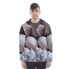 Beautiful Seashells  Men s Hooded Windbreaker