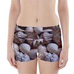 Beautiful Seashells  Boyleg Bikini Wrap Bottoms by StarvingArtisan