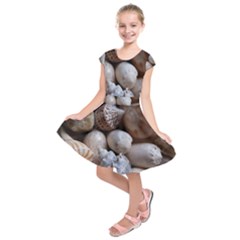 Beautiful Seashells  Kids  Short Sleeve Dress by StarvingArtisan