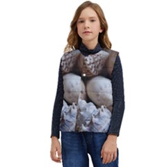 Beautiful Seashells  Kid s Short Button Up Puffer Vest	