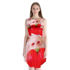 Strawberry Love Sleeveless Chiffon Dress   by StarvingArtisan