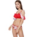 Strawberry Love Ruffle Edge Tie Up Bikini Set	 View2