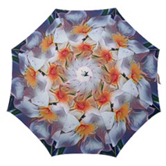 Daisy Painting  Straight Umbrellas by StarvingArtisan