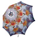 Daisy Painting  Hook Handle Umbrellas (Large) View2