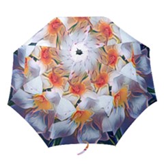 Daisy Painting  Folding Umbrellas by StarvingArtisan