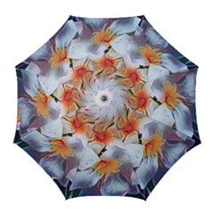 Daisy Painting  Golf Umbrellas by StarvingArtisan