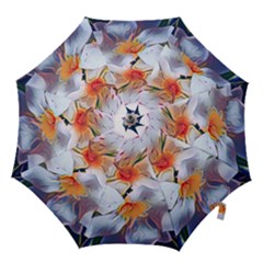 Daisy Painting  Hook Handle Umbrellas (large) by StarvingArtisan