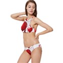 Pngwing Com (1) Banded Triangle Bikini Set View2