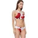 Pngwing Com (1) Banded Triangle Bikini Set View3