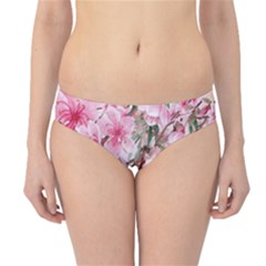 Png 20230118 082745 0000 Hipster Bikini Bottoms