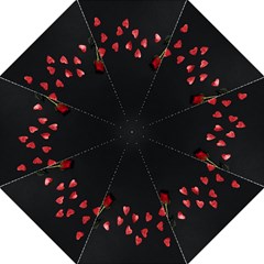 Valentine Day Heart Flower Folding Umbrellas by artworkshop