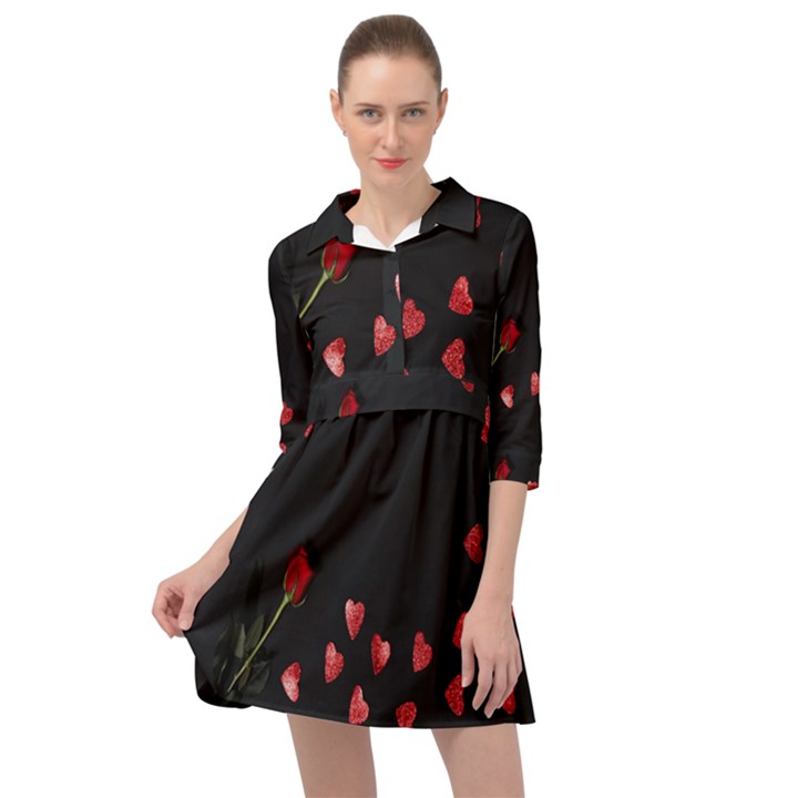 Valentine Day Heart Flower Mini Skater Shirt Dress