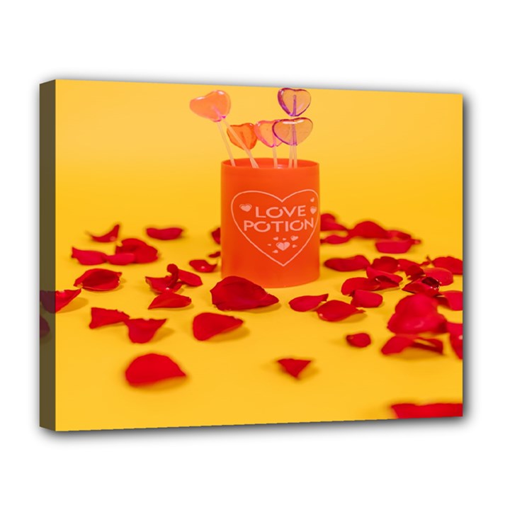 Valentine Day Heart Love Potion Canvas 14  x 11  (Stretched)