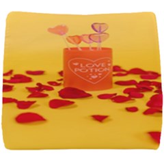 Valentine Day Heart Love Potion Seat Cushion by artworkshop