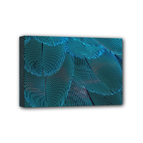 Beautiful Plumage Mini Canvas 6  X 4  (stretched) by artworkshop