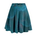 Beautiful Plumage High Waist Skirt View1