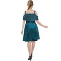 Beautiful Plumage Cut Out Shoulders Chiffon Dress View2