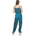 Beautiful Plumage Sleeveless Tie Ankle Chiffon Jumpsuit View2