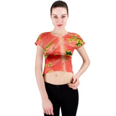 Aglonema Leaf Plant Pattern Flora Crew Neck Crop Top by danenraven